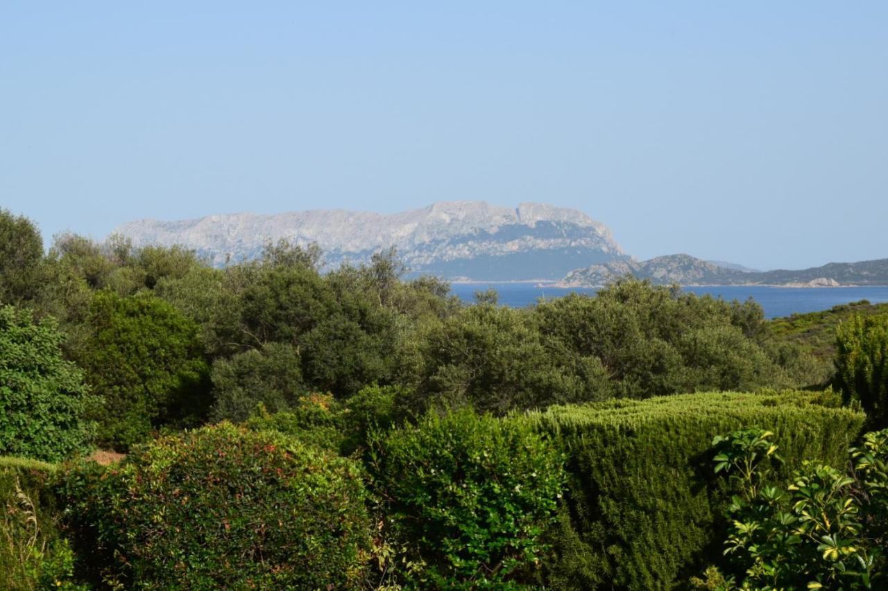 Sa Domitta Di Suiles Apartment Olbia Exterior photo